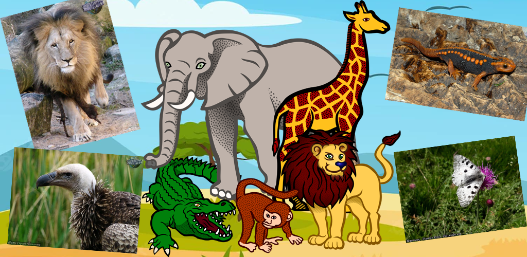 Африканские животные Международной Красной Книги