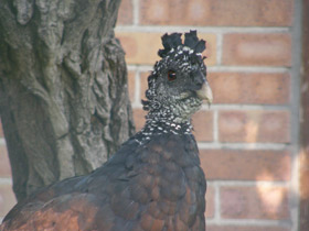 Смотреть фото Большой кракс Фото Большой кракс