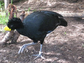 Смотреть фото Большой кракс Фото Большой кракс