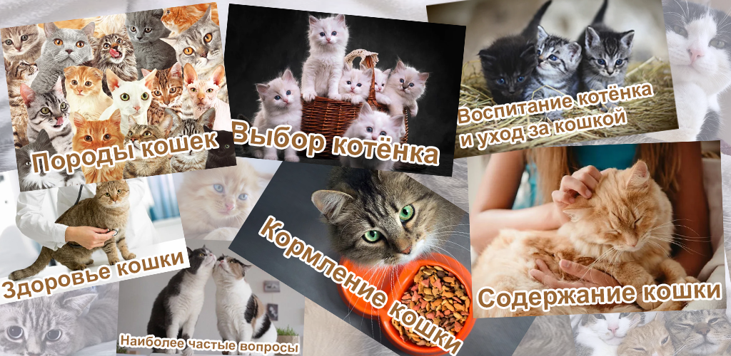 Животные Зоогалактика