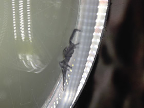 Фото Cамый большой угол зрения