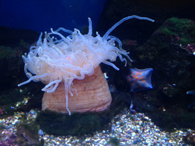 Фото Утрицина