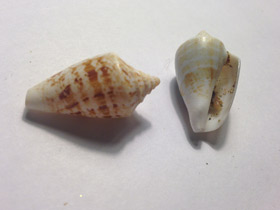 Фото Изразцовый конус