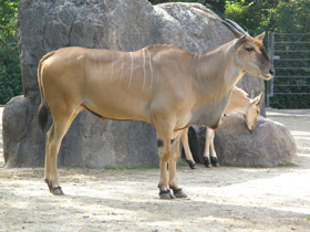Фото Самостоятельные малыши