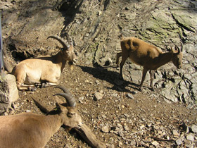 Фото Западнокавказский тур