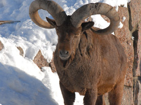 Смотреть фото Дагестанский тур Фото Дагестанский тур