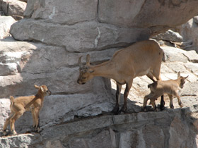 Смотреть фото Дагестанский тур Фото Дагестанский тур