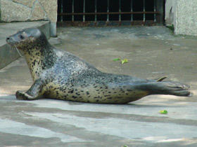 Смотреть фото Ларга Фото Ларга