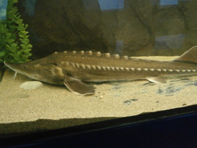 Смотреть фото Калуга Фото Калуга