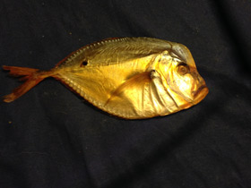 Смотреть фото Обыкновенная селена Фото Обыкновенная селена